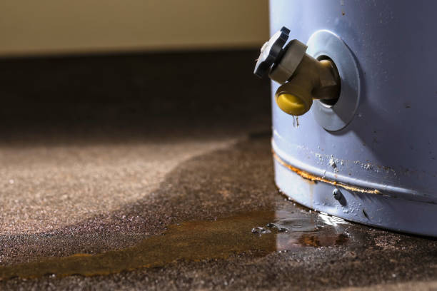 Best Commercial water damage restoration  in Everman, TX