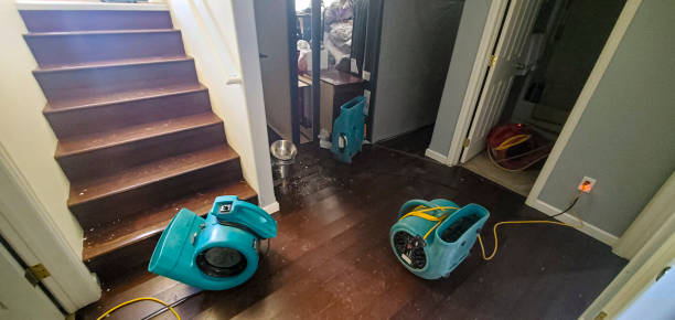 Best Water damage contractors near me  in Everman, TX