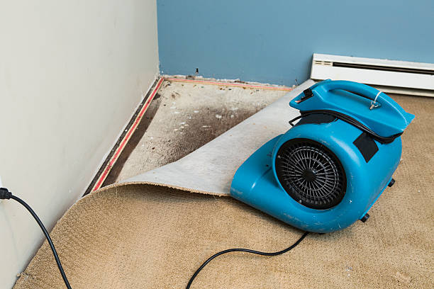 Carpet water damage restoration in Everman, TX